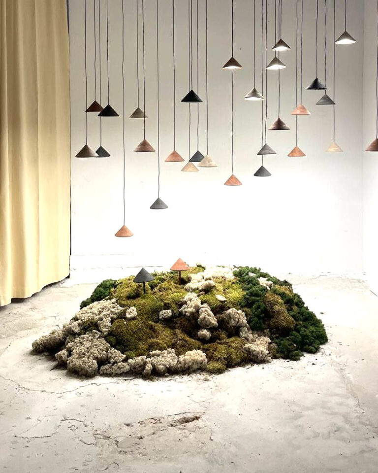 Terra Collection at Mater